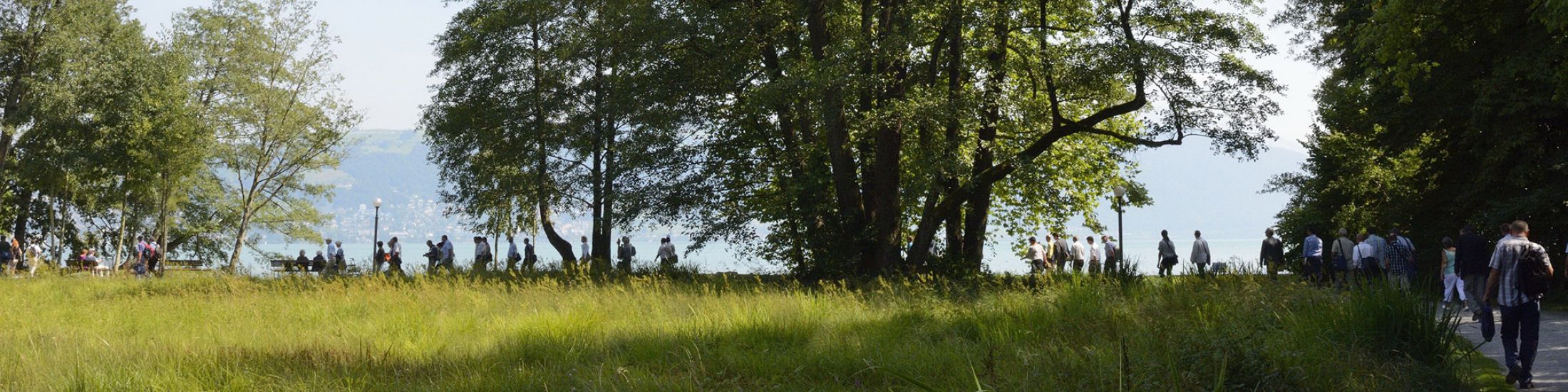 Der Weg zum Zertifikat